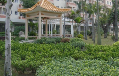 1606704998579013010.png image.png