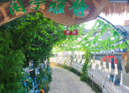 1606718604429023938.png image.png