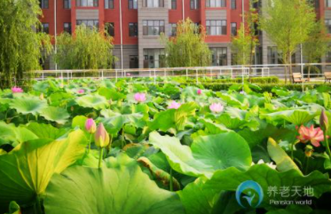 1606810809277012873.png image.png