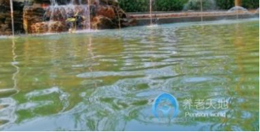 1606811387030012399.png QQ截圖20201201162907.png