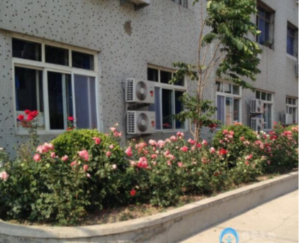 1606898300128003764.png image.png