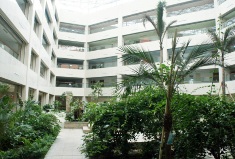 1606898853920080371.png image.png