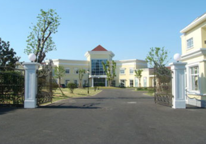 1607046945612003779.png image.png