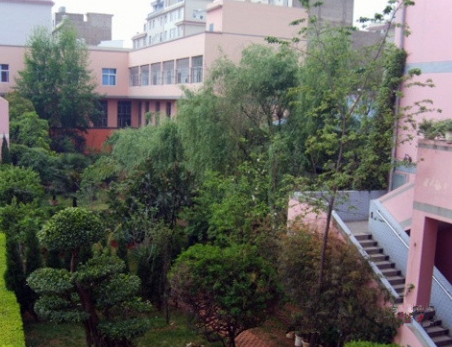 1607325874797047658.png image.png