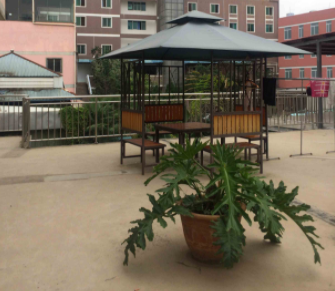 1607325904197069164.png image.png