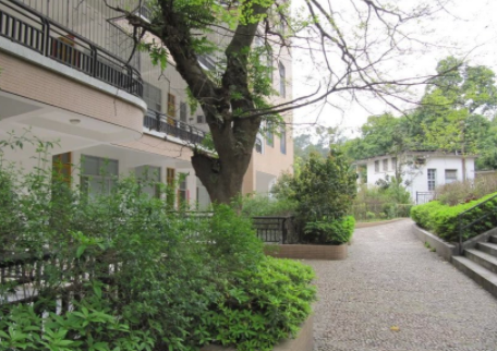 1607327752067028632.png image.png