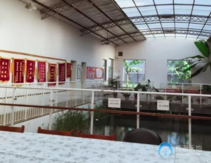 1607414068325073176.png image.png