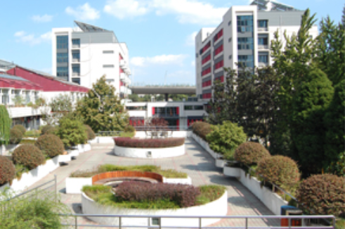 1607502934935073631.png image.png