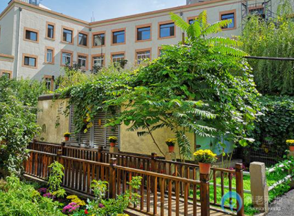 1607652355077007437.png image.png