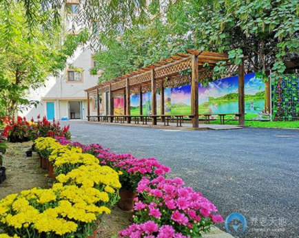 1607652375938026065.png image.png