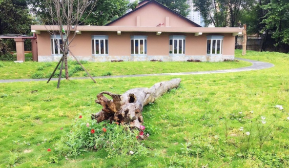 1608019242797087256.png image.png