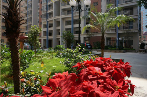 1608025285224095635.png image.png