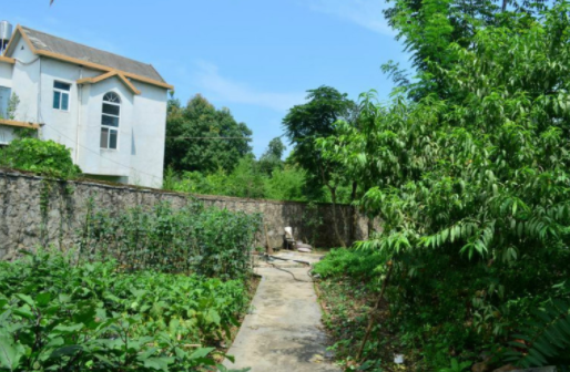 1608108154460050190.png image.png