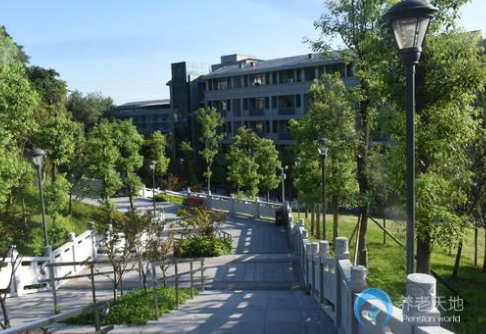 1608277782448009810.png image.png