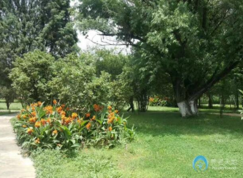 1608711133368036708.png image.png