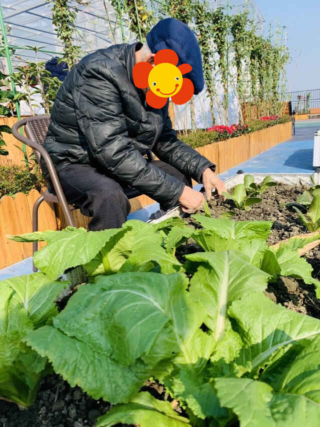 1608867364344071597.jpg 1608867364344071597.jpg