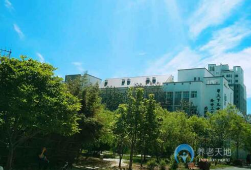 1608885328686054069.png image.png