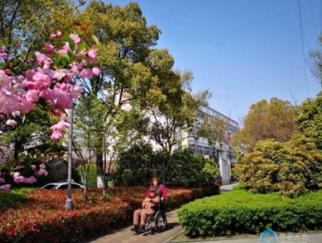 1609298491904063668.png image.png