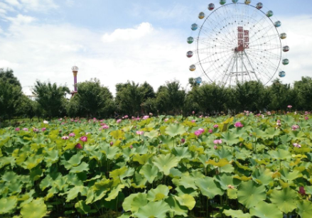 1609313118279094697.png image.png