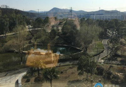 1609381008242065501.png image.png