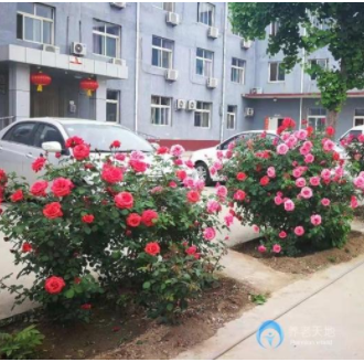 1609749717018047252.png image.png