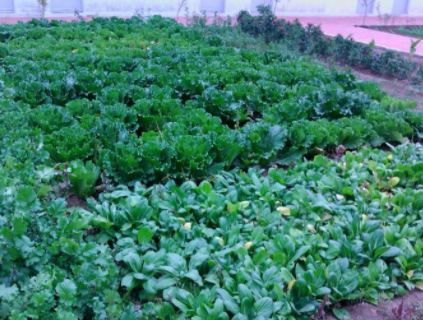 1609897111901030799.png image.png