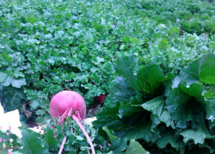 1609897123269028042.png image.png