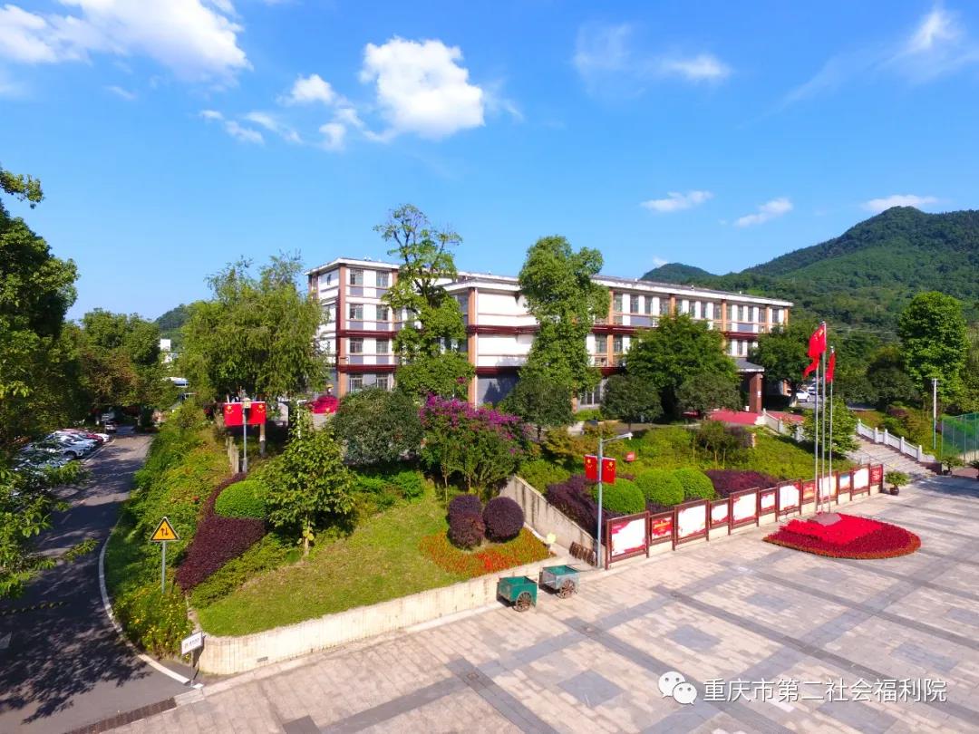 1609925276087059685.jpg 1609925276087059685.jpg