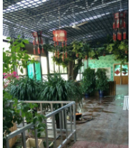 1610355278238026055.png image.png