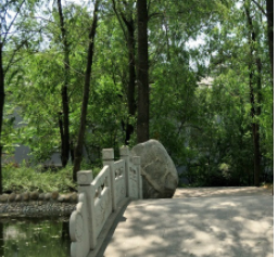 1610438537007040724.png image.png