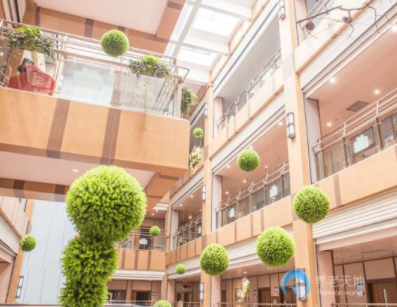 1610510070179025072.png image.png