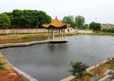 1610529921513029948.png image.png