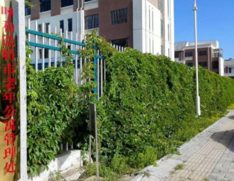 1610960991633013185.png image.png