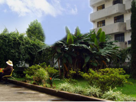 1611042376567021542.png image.png