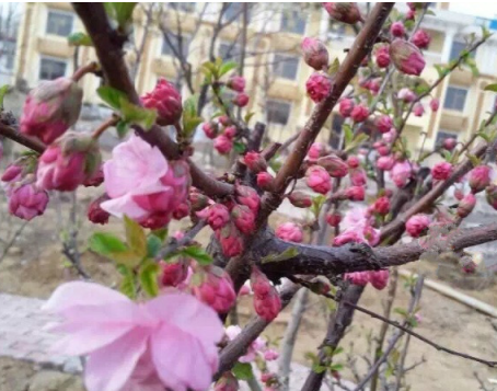 1611044559865046574.png image.png