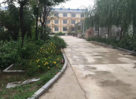 1611044570128085599.png image.png