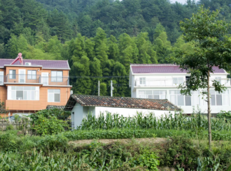 1611107391919053433.png image.png