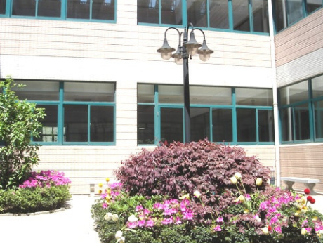 1611215961860024516.png image.png