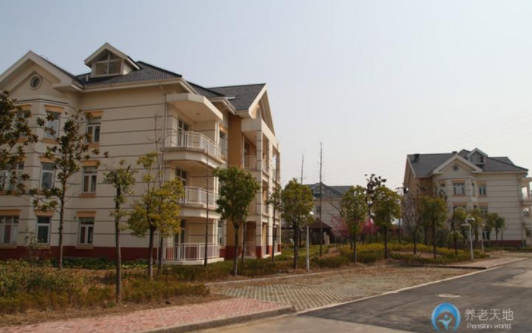 1611735045369040493.png image.png