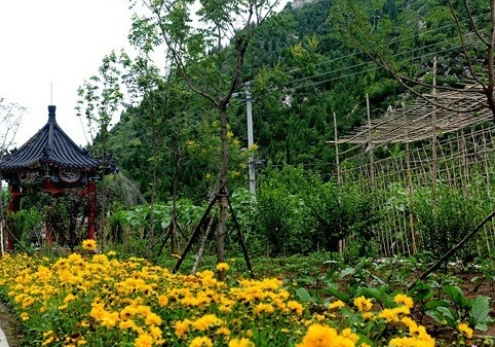 1611884722592083052.png image.png