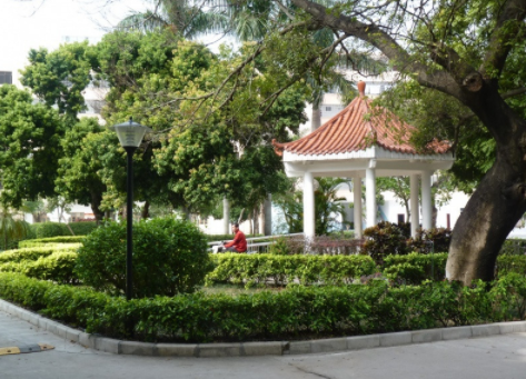 1611903037453095368.png image.png