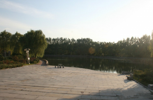 1612419336228040513.png image.png