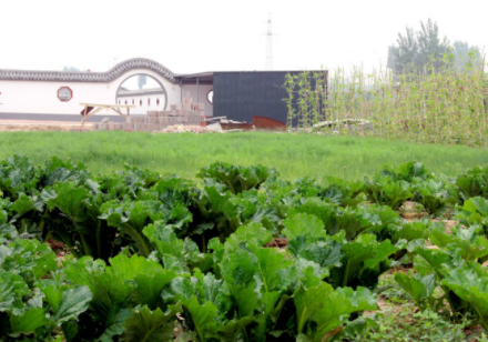 1612578586495031290.png image.png