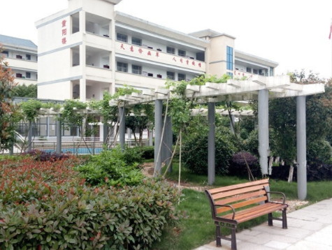 1612589980275089300.png image.png