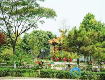 1612592707121082363.png image.png