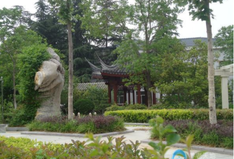 1613716577270021494.png image.png