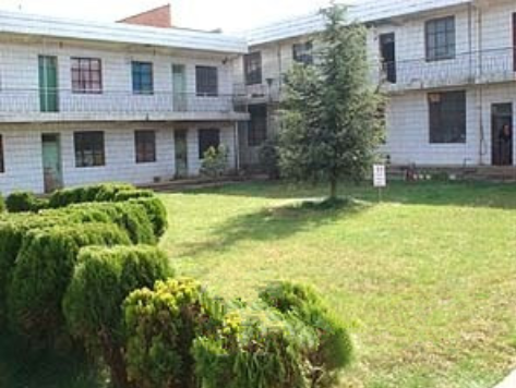 1613788383314090926.png image.png