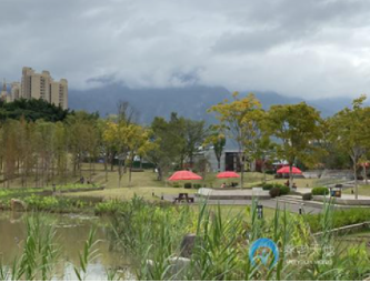 1613792903260007967.png image.png