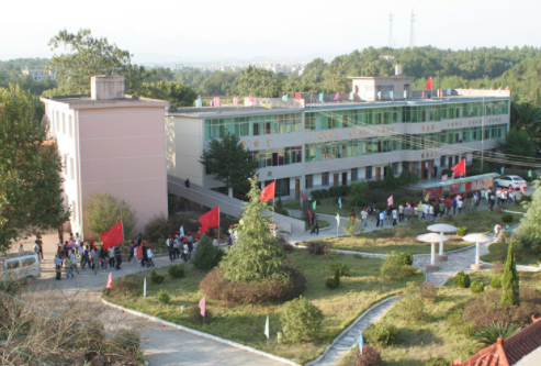 1613799215666075878.png image.png