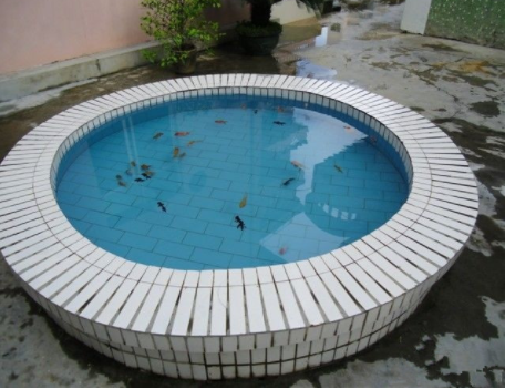 1613803576354084899.png image.png